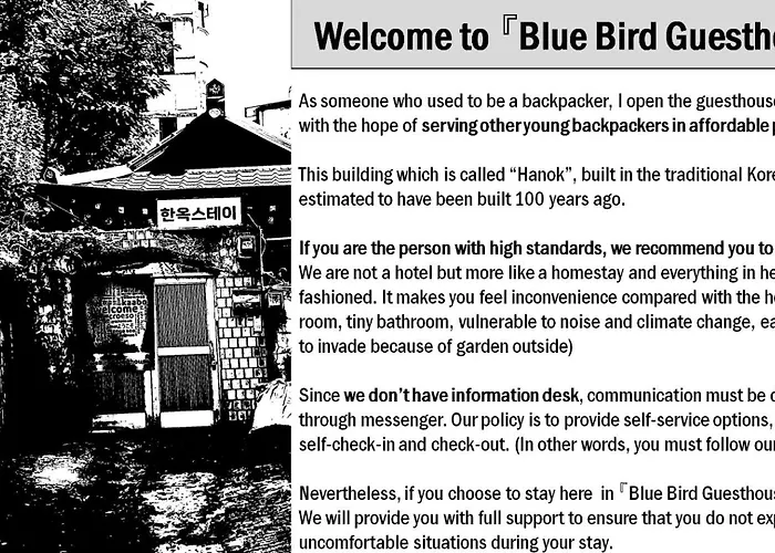Bluebird - Foreign Only * Seoul